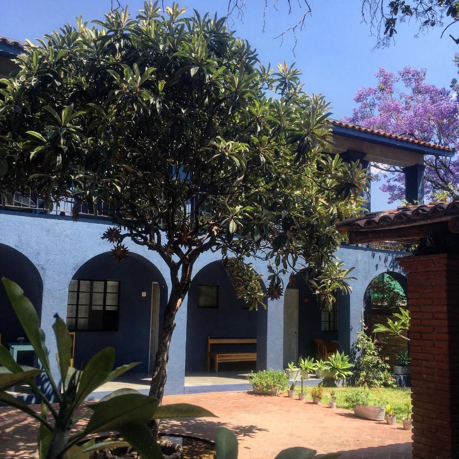 La Betulia Bed And Breakfast Oaxaca Экстерьер фото